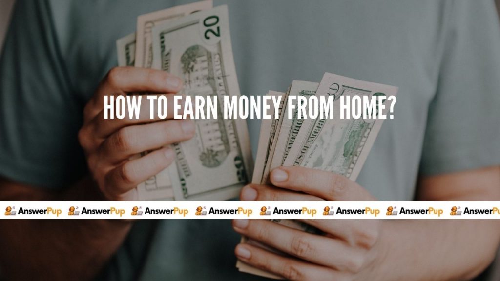 How to earn money from home without any investment? | Answer Pup