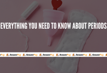 Photo of Periods: Everything You Need to Know